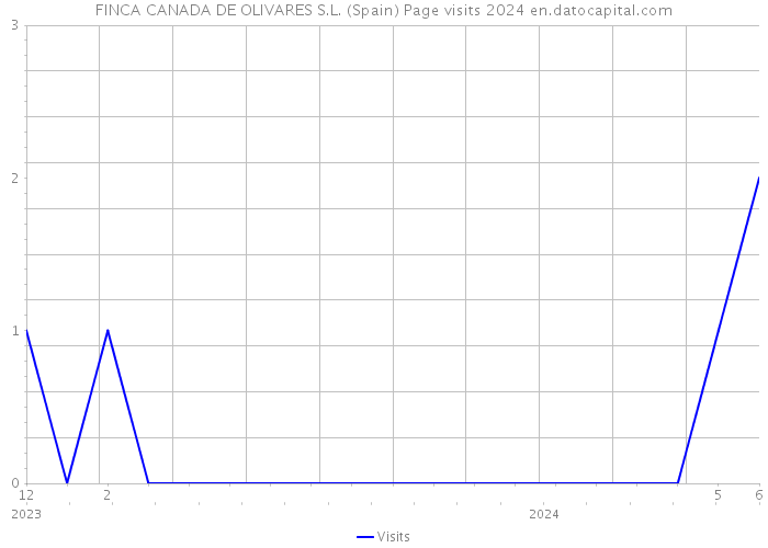 FINCA CANADA DE OLIVARES S.L. (Spain) Page visits 2024 