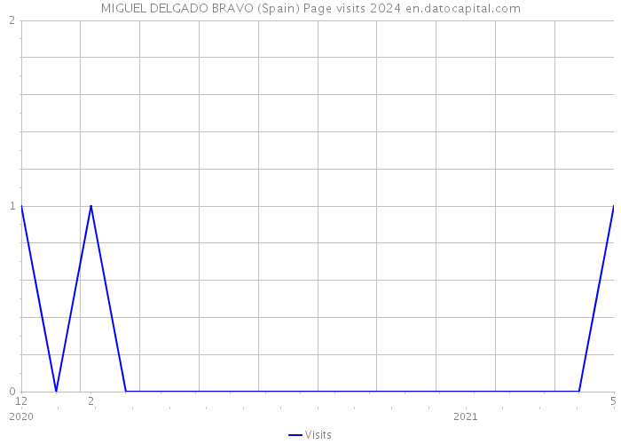 MIGUEL DELGADO BRAVO (Spain) Page visits 2024 