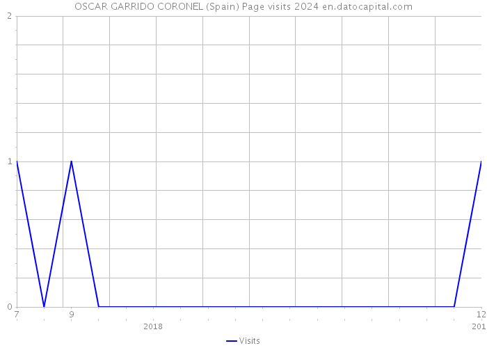 OSCAR GARRIDO CORONEL (Spain) Page visits 2024 