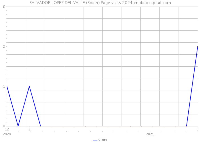 SALVADOR LOPEZ DEL VALLE (Spain) Page visits 2024 