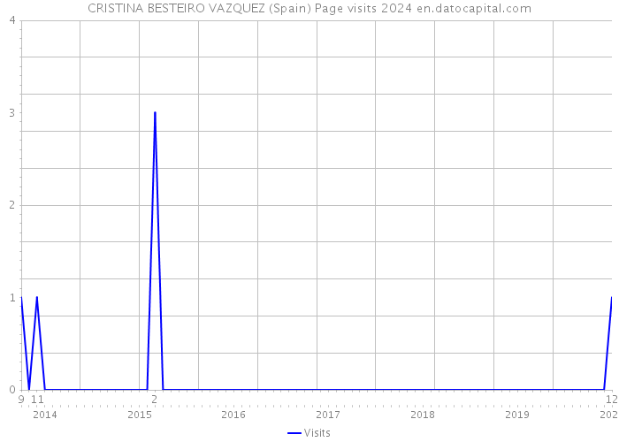 CRISTINA BESTEIRO VAZQUEZ (Spain) Page visits 2024 
