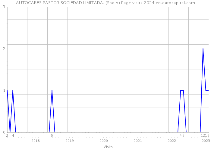 AUTOCARES PASTOR SOCIEDAD LIMITADA. (Spain) Page visits 2024 