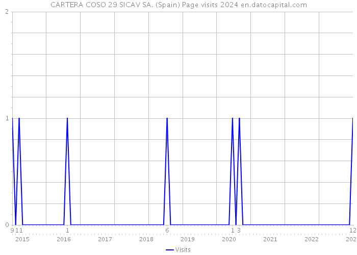 CARTERA COSO 29 SICAV SA. (Spain) Page visits 2024 