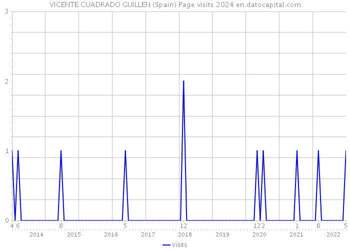 VICENTE CUADRADO GUILLEN (Spain) Page visits 2024 