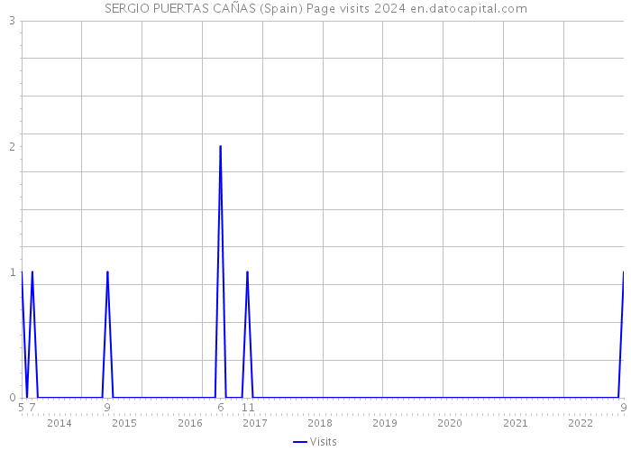 SERGIO PUERTAS CAÑAS (Spain) Page visits 2024 