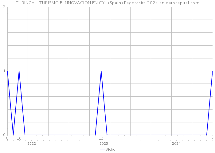 TURINCAL-TURISMO E INNOVACION EN CYL (Spain) Page visits 2024 