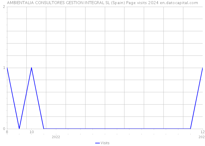 AMBIENTALIA CONSULTORES GESTION INTEGRAL SL (Spain) Page visits 2024 