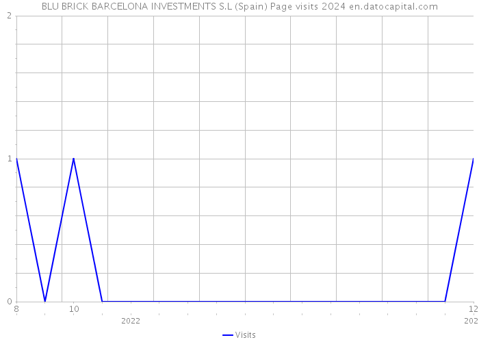 BLU BRICK BARCELONA INVESTMENTS S.L (Spain) Page visits 2024 