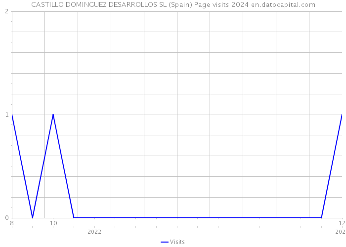 CASTILLO DOMINGUEZ DESARROLLOS SL (Spain) Page visits 2024 