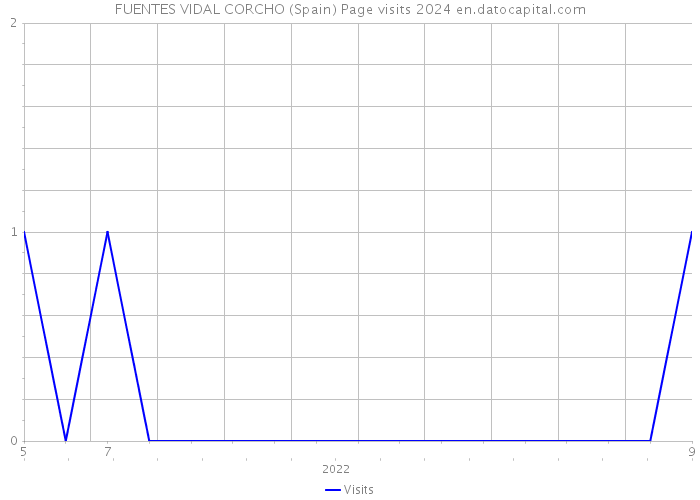 FUENTES VIDAL CORCHO (Spain) Page visits 2024 