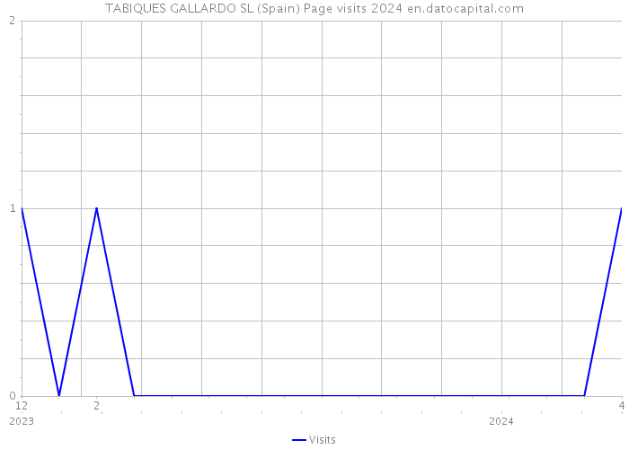 TABIQUES GALLARDO SL (Spain) Page visits 2024 
