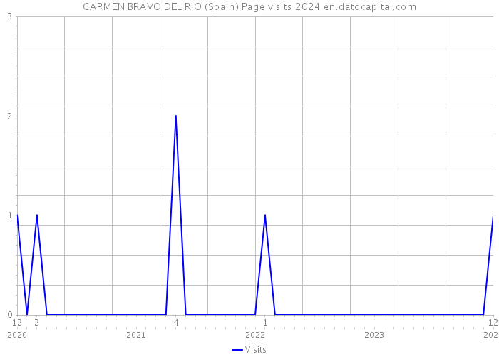 CARMEN BRAVO DEL RIO (Spain) Page visits 2024 