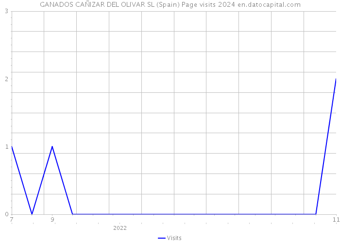 GANADOS CAÑIZAR DEL OLIVAR SL (Spain) Page visits 2024 