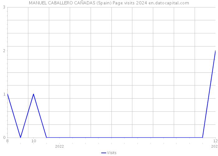 MANUEL CABALLERO CAÑADAS (Spain) Page visits 2024 