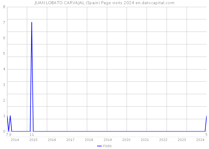 JUAN LOBATO CARVAJAL (Spain) Page visits 2024 