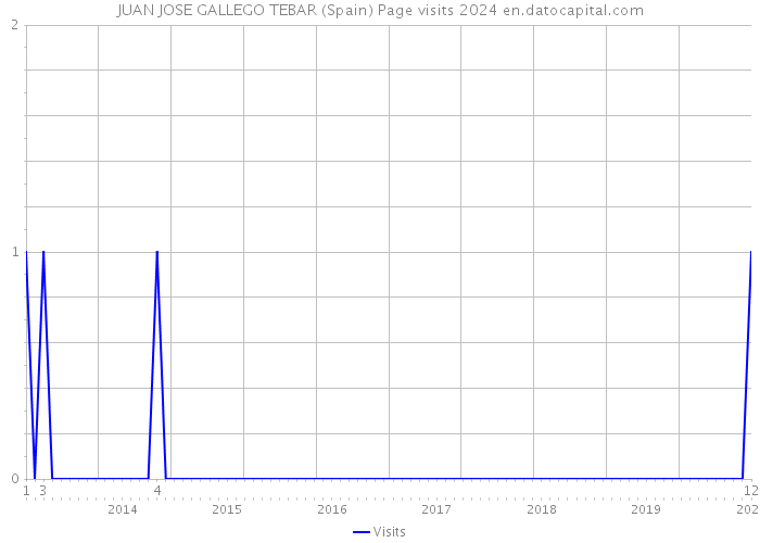 JUAN JOSE GALLEGO TEBAR (Spain) Page visits 2024 