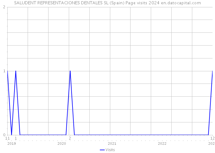 SALUDENT REPRESENTACIONES DENTALES SL (Spain) Page visits 2024 