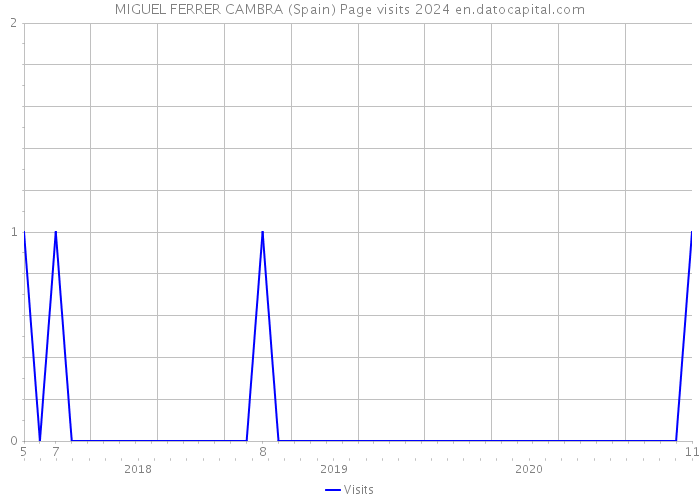MIGUEL FERRER CAMBRA (Spain) Page visits 2024 