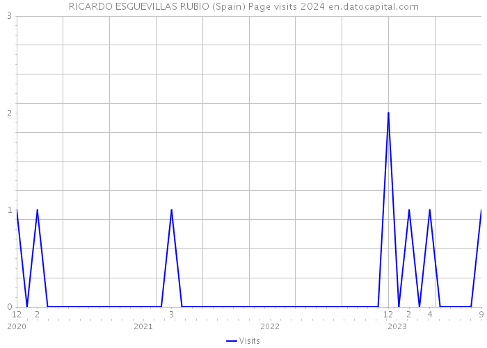 RICARDO ESGUEVILLAS RUBIO (Spain) Page visits 2024 