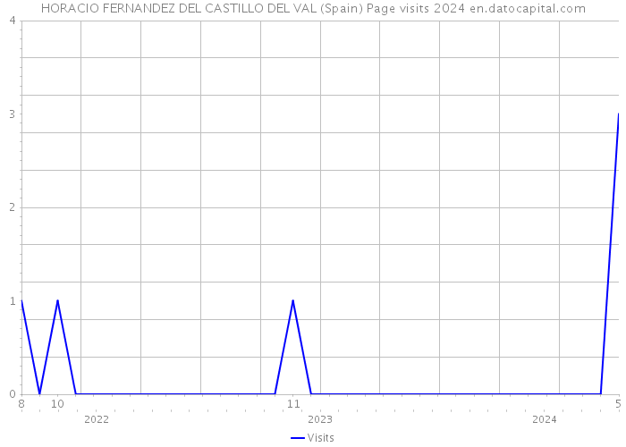HORACIO FERNANDEZ DEL CASTILLO DEL VAL (Spain) Page visits 2024 