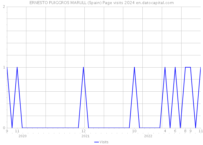 ERNESTO PUIGGROS MARULL (Spain) Page visits 2024 