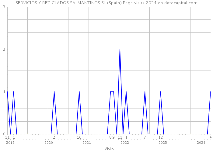 SERVICIOS Y RECICLADOS SALMANTINOS SL (Spain) Page visits 2024 
