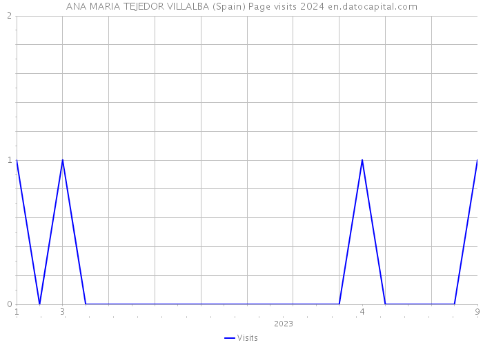 ANA MARIA TEJEDOR VILLALBA (Spain) Page visits 2024 
