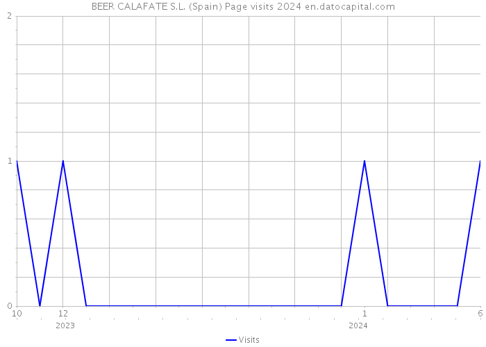 BEER CALAFATE S.L. (Spain) Page visits 2024 