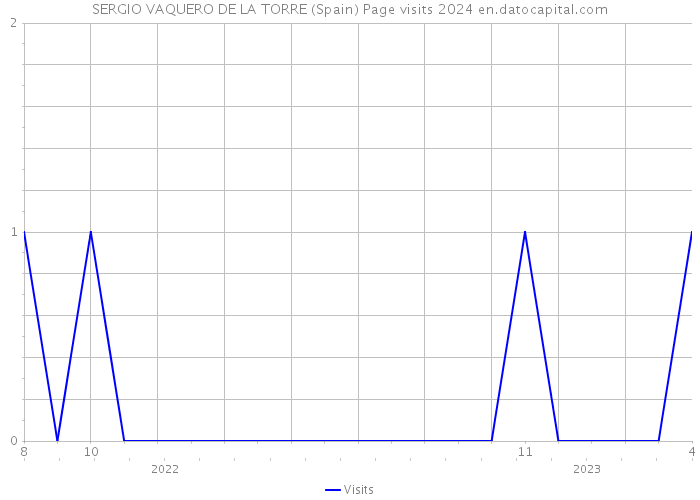 SERGIO VAQUERO DE LA TORRE (Spain) Page visits 2024 