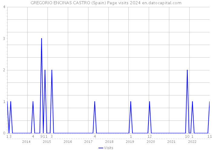 GREGORIO ENCINAS CASTRO (Spain) Page visits 2024 