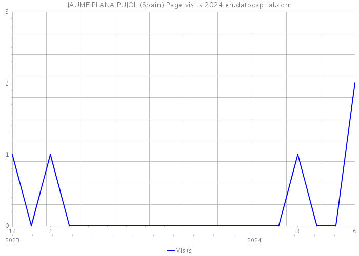 JAUME PLANA PUJOL (Spain) Page visits 2024 