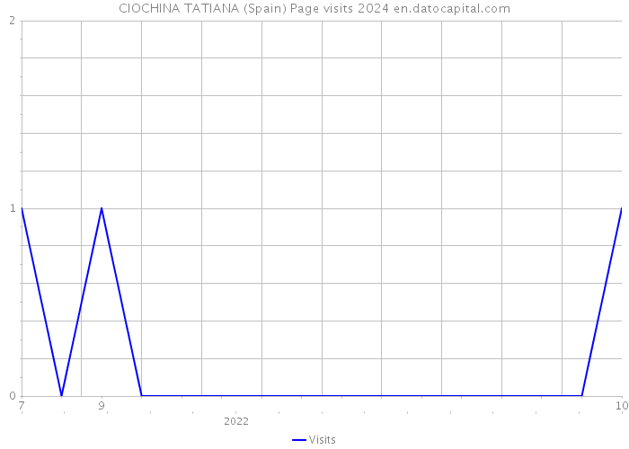 CIOCHINA TATIANA (Spain) Page visits 2024 