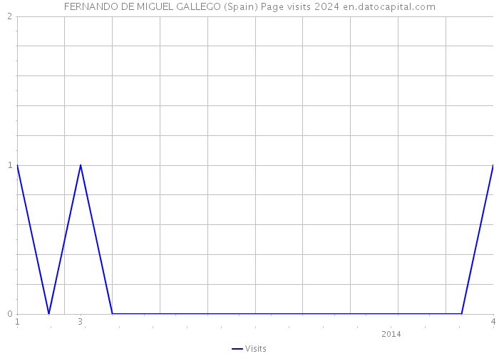 FERNANDO DE MIGUEL GALLEGO (Spain) Page visits 2024 