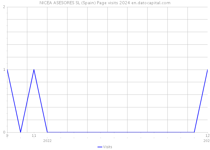 NICEA ASESORES SL (Spain) Page visits 2024 