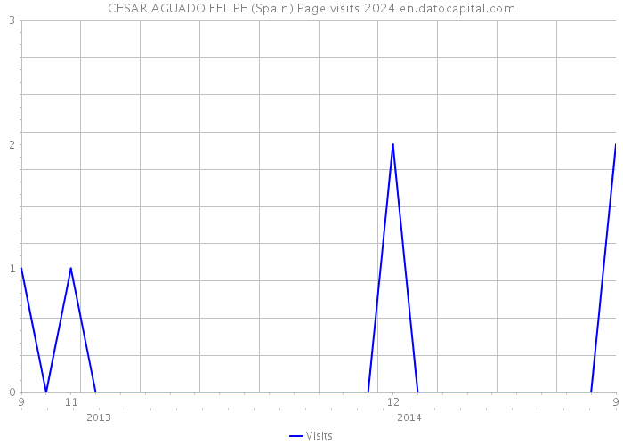 CESAR AGUADO FELIPE (Spain) Page visits 2024 