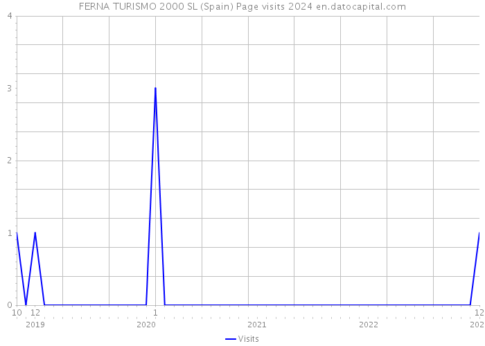 FERNA TURISMO 2000 SL (Spain) Page visits 2024 
