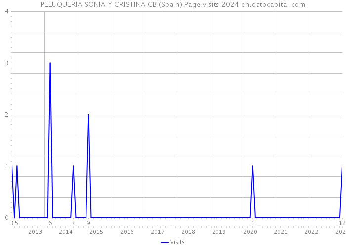 PELUQUERIA SONIA Y CRISTINA CB (Spain) Page visits 2024 