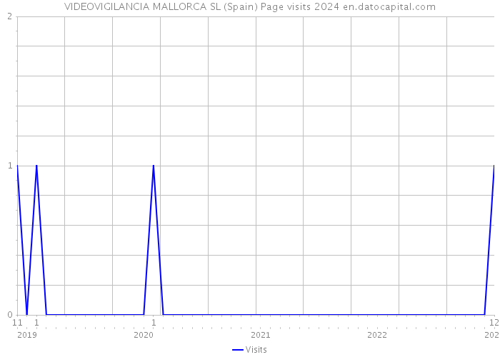 VIDEOVIGILANCIA MALLORCA SL (Spain) Page visits 2024 