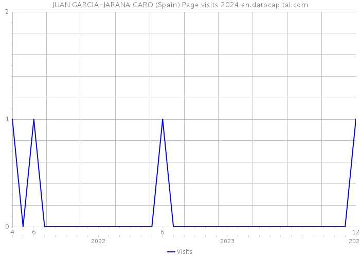 JUAN GARCIA-JARANA CARO (Spain) Page visits 2024 