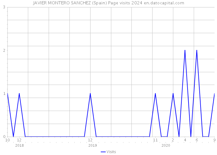 JAVIER MONTERO SANCHEZ (Spain) Page visits 2024 