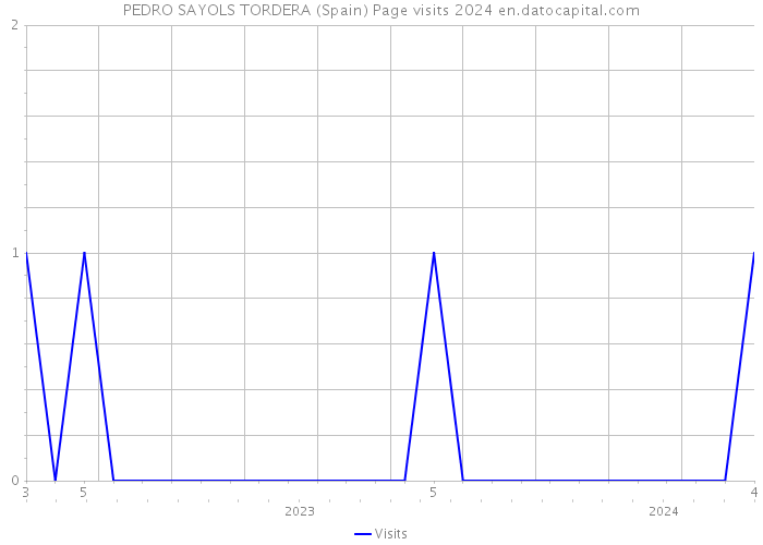 PEDRO SAYOLS TORDERA (Spain) Page visits 2024 