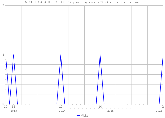MIGUEL CALAHORRO LOPEZ (Spain) Page visits 2024 