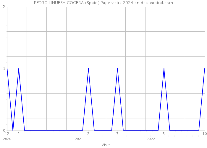 PEDRO LINUESA COCERA (Spain) Page visits 2024 