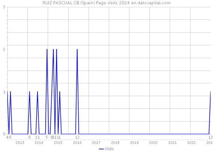 RUIZ PASCUAL CB (Spain) Page visits 2024 