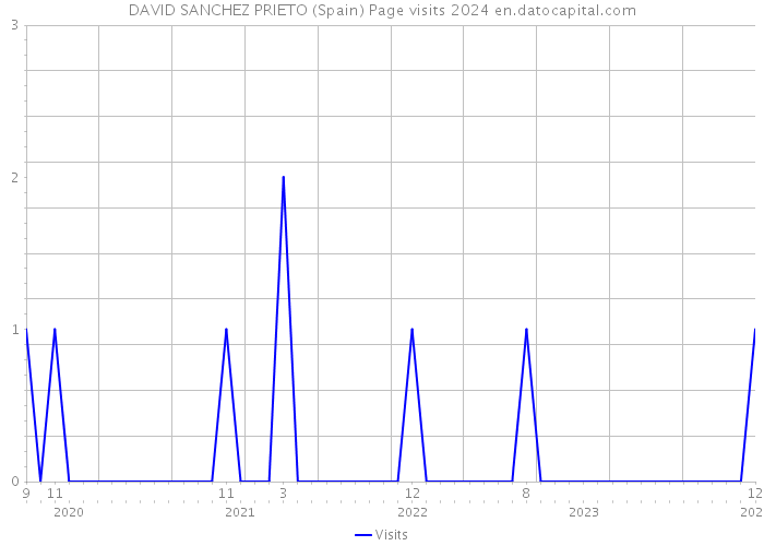 DAVID SANCHEZ PRIETO (Spain) Page visits 2024 