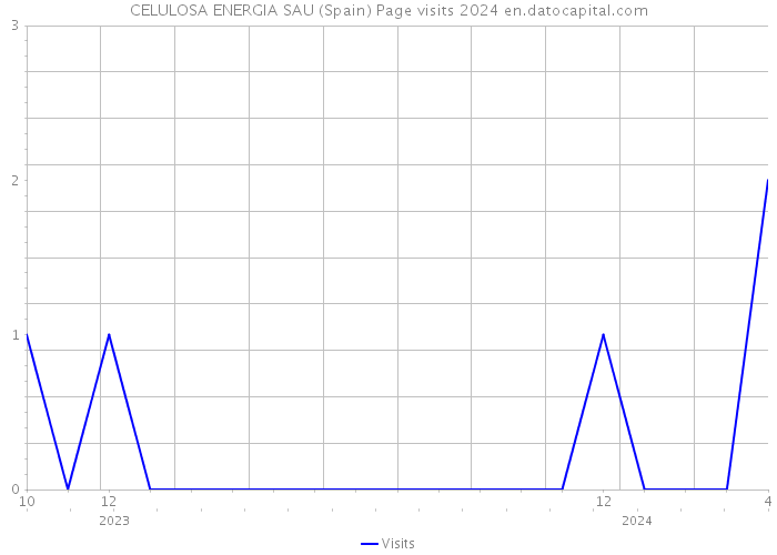 CELULOSA ENERGIA SAU (Spain) Page visits 2024 