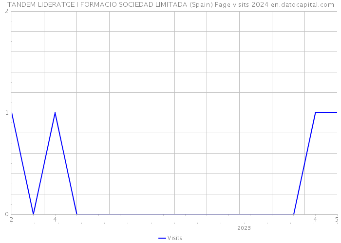 TANDEM LIDERATGE I FORMACIO SOCIEDAD LIMITADA (Spain) Page visits 2024 