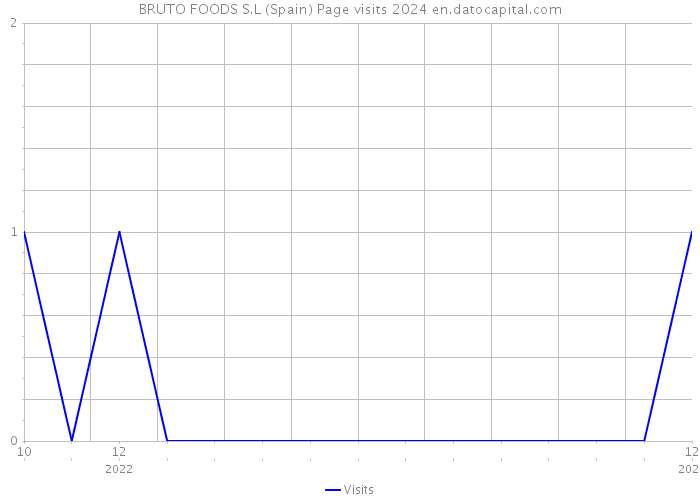 BRUTO FOODS S.L (Spain) Page visits 2024 