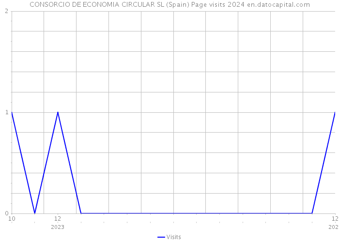 CONSORCIO DE ECONOMIA CIRCULAR SL (Spain) Page visits 2024 