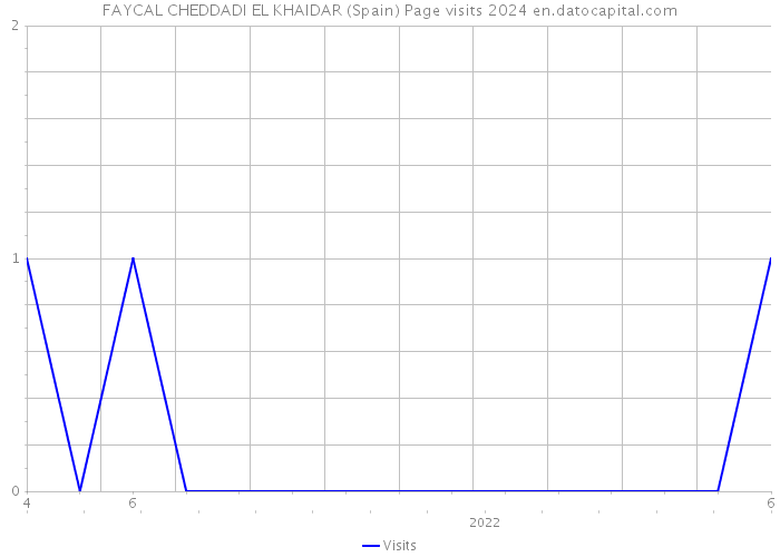 FAYCAL CHEDDADI EL KHAIDAR (Spain) Page visits 2024 